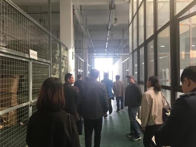 微信图片_20171109163211